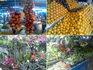 Tour Medan_pasar buah